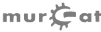 Logo: mur.at